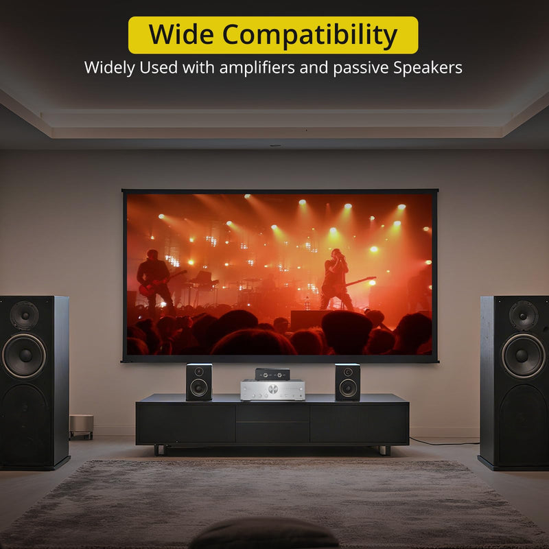 [AUSTRALIA] - PROZOR 2-Zone Speaker Switch Box, 2-Way Amp/Speaker Selector with Independent A/B Control, Passive Stereo Switcher for Amplifier and Receiver, 150W RMS per Channel, Support 4–16Ω Speakers Spring Clip 2 Zone 