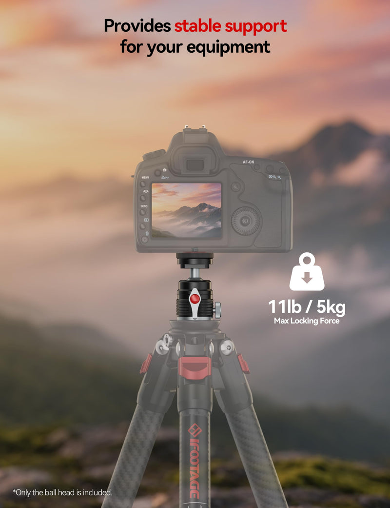 IFOOTAGE T31D Mini Ball Head, Camera Tripod Head with Cold Shoe Mount | 360° Swivel & 90° Tilt Aluminum Ball Head, 1/4" & 3/8" Screw Adapter for DSLR Camera, Mirrorless Camera, Phone, Video Light