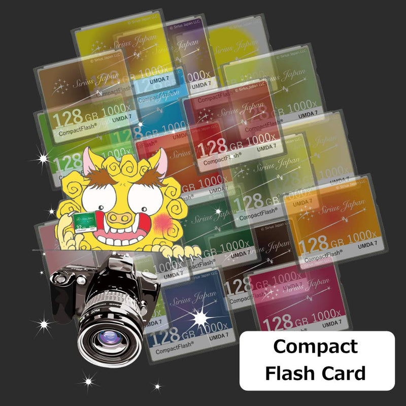 Sirius CF Card 16GB 【Color：Carrot】 Like Cool Cafe Color Variation (Over 80 Models) Compact Flash Card 1000X ESC10-16Gcr