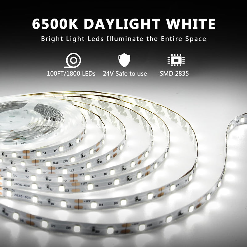 dalattin White LED Strip Lights 100ft, Dimmable Bright 24V Led Light Strip 6500K Daylight White 1800 LEDs Lights for Bedroom, Mirror, Kitchen, Strong Adhesive, 2 roll of 50ft White 6500K