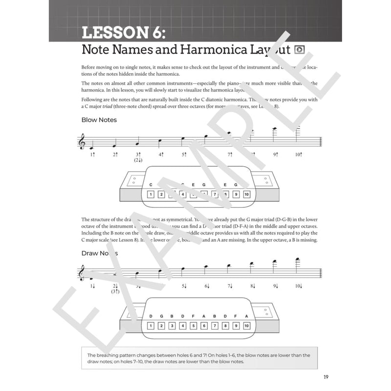 [AUSTRALIA] - Do-It-Yourself Harmonica: The Best Step-by-Step Guide to Start Playing - Book with Online Audio and Instructional Videos 
