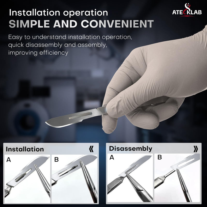 100 - Pack Sharp Carbon - Steel Disposable Scalpel Blades - Individually Packed - for Anatomy, Crafts & Dermaplaning (#10) G142 -10