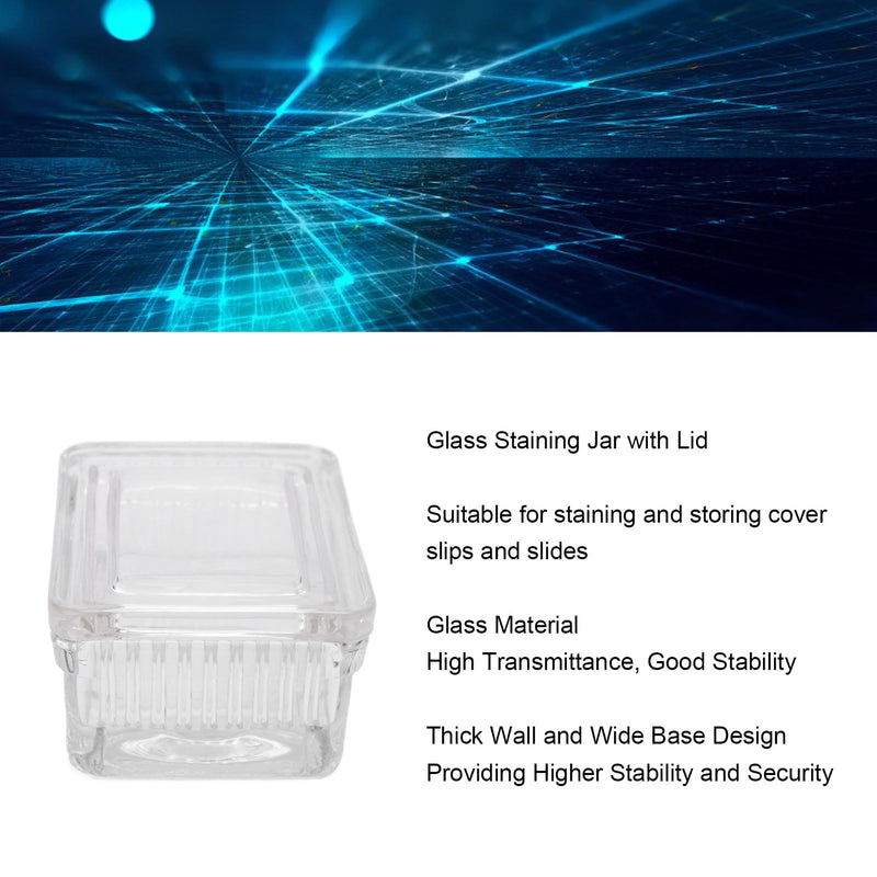 [AUSTRALIA] - Glass Staining Jar with Lid, Transparent Container, Sturdy (Glass with 10 Slides) Glas mit 10 Objektträgern Glass with 10 slides 