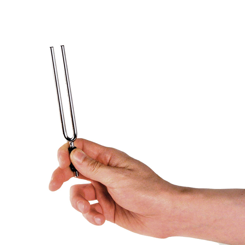D'Addario Accessories Tuning Fork Tone A