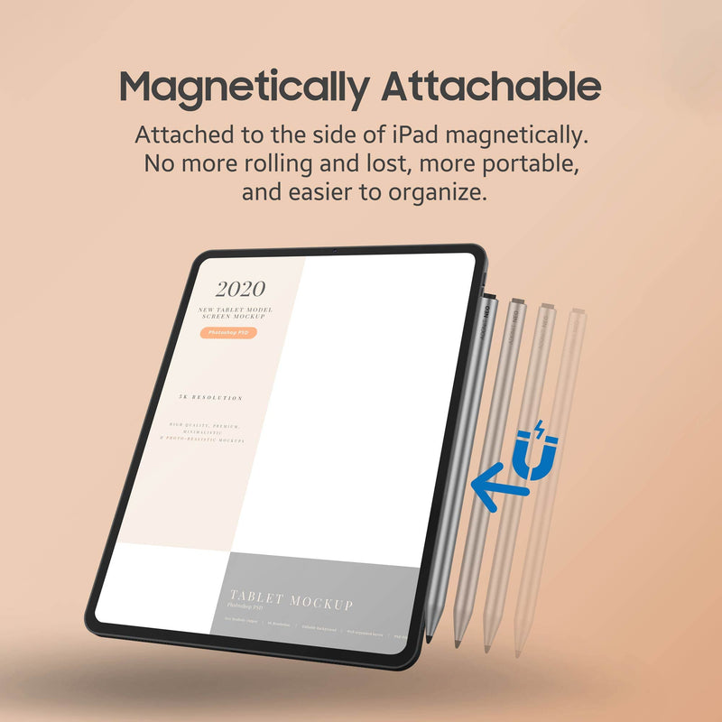 Adonit Neo, Magnetically Attachable Stylus Pen for iPad with Palm Rejection, Active Digital Pencil, Compatible with iPad Air 4th/3rd, iPad Mini 6/5th, iPad 9/8/7/6th, iPad Pro 11/12.9" - Matte Silver