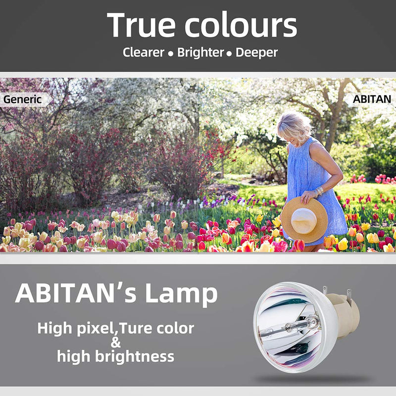 ABITAN VT85LP/LV-LP26 Replacement Projector Lamp with Housing for NEC VT695 VT595 VT491 VT580 VT480 VT590 VT490 VT495 Projector