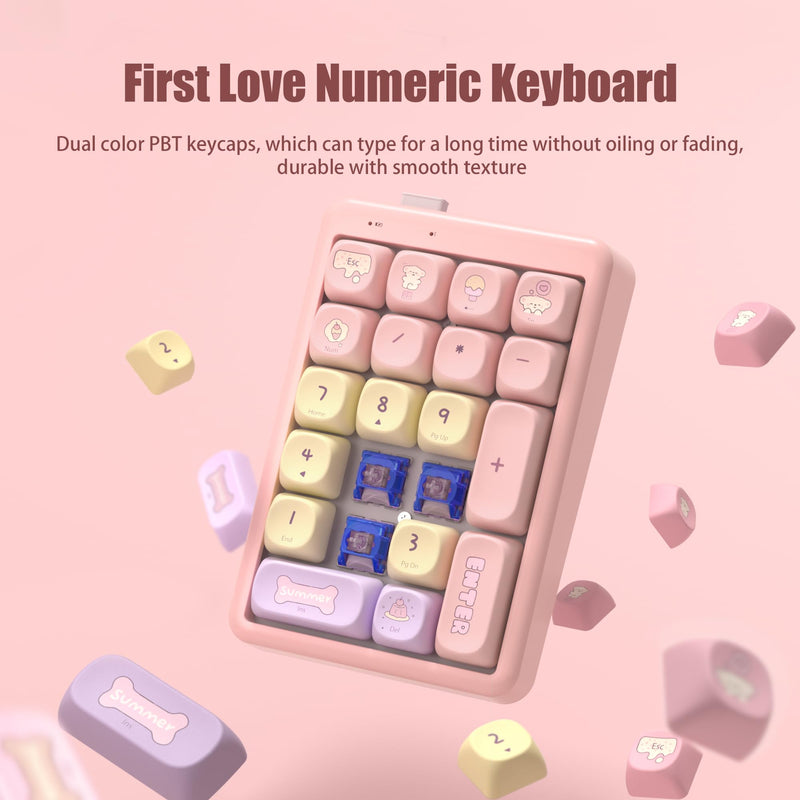 Wireless Number Pad Keyboard Mechanical Numpad Numeric Keypad for Laptop | Bluetooth Creamy 10 Key RGB Portable Cute Financial Accounting Rechargeable for Windows, PC, BT5.0/2.4G, Pink S21