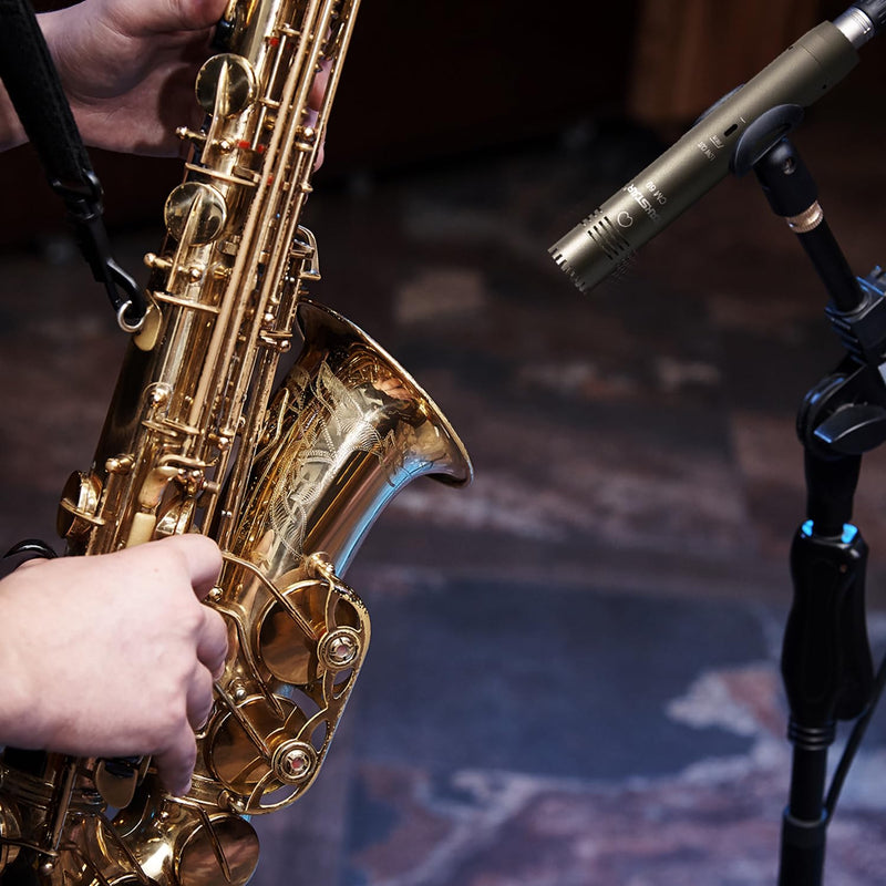 TAKSTAR CM-60 Instrument Microphone with Windscreen, Professional Cardioid Condenser Mic, XLR Gold-Plated Diaphragm Sound Head Microphone for Studio, Instrument, Interview, Radio Stations, Broadcast