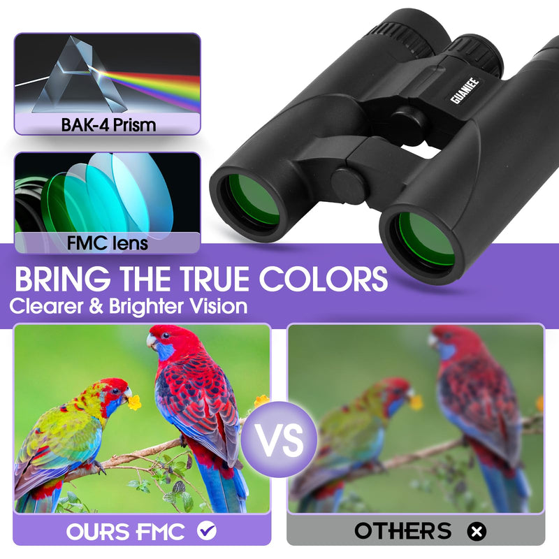 [AUSTRALIA] - 10x25 Binoculars for Kids Mini Pocket Compact Binoculars Waterproof Small Binocular for Bird Watching Travel Stargazing Outdoor Sports Purple 