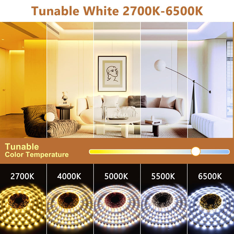 Wefomey White LED Strip Lights, 100ft Dimmable Bright 24V Led Tape Light with Remote and App Control, 2700K-6500K White 1440 LEDs Lights for Bedroom, Kitchen, Ceiling (1 Rolls of 100ft) 1 Rolls of 100ft