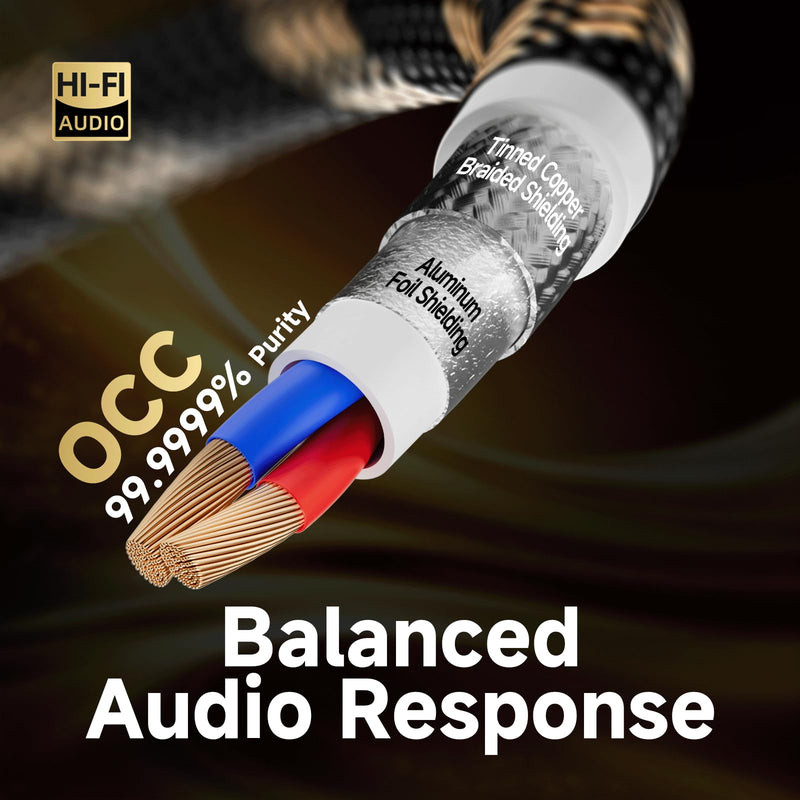 TODN A Pair Balanced XLR Cable for Audiophile, Professional XLR Mic Stereo Audio Cable with O-C-C Core, Dual Shielded for Live Sound/Studio (3ft/1m, 1 Pair) 3.3 ft A Pair - Pro