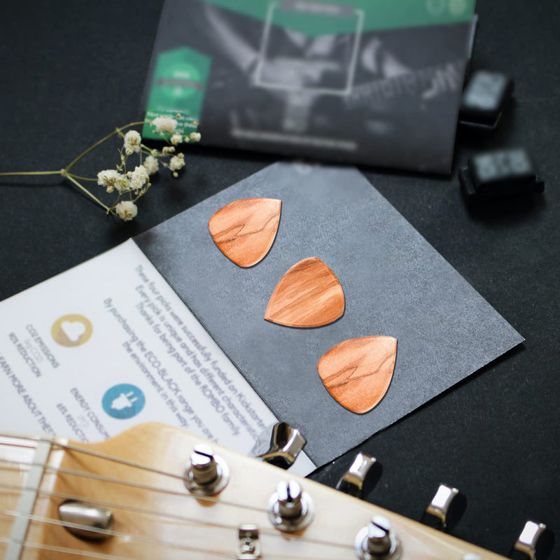 Guitar Picks Holder with 3pcs Guitar Picks for Bass,Electric,Acoustic Guitars Birthday Gifts for Son Rock"Roll