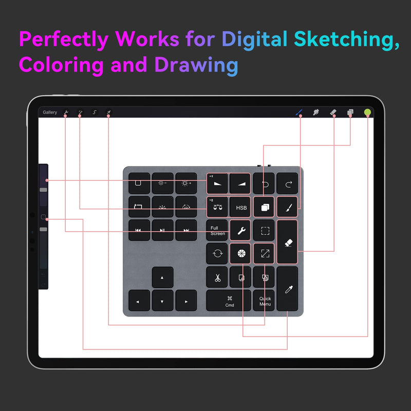 Doohoeek Backlit Buetooth Keypad for iPad Procreate, Rechargeable Keyboard for Procreate and Drawing Shortcuts for iPad and Graphic Tablets, Gray