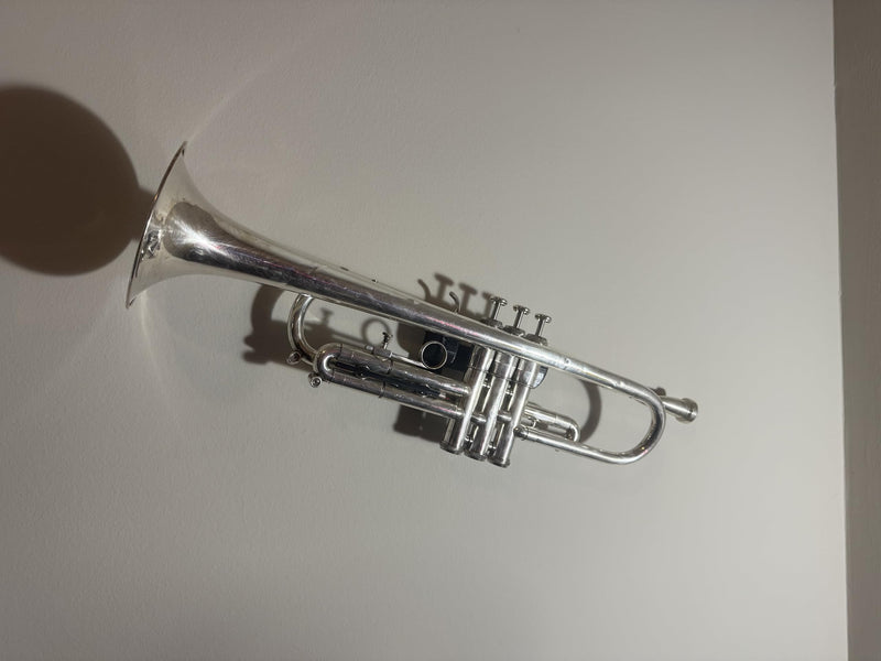 Trumpet Wall Mount Holder, Secure Instrument Hanger with Drywall Screws, Space-Saving Hook for Music Studios