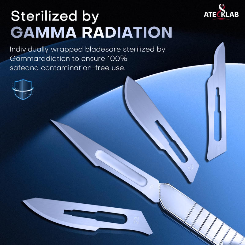 100 - Pack Sharp Carbon - Steel Disposable Scalpel Blades - Individually Packed - for Anatomy, Crafts & Dermaplaning (#10) G142 -10