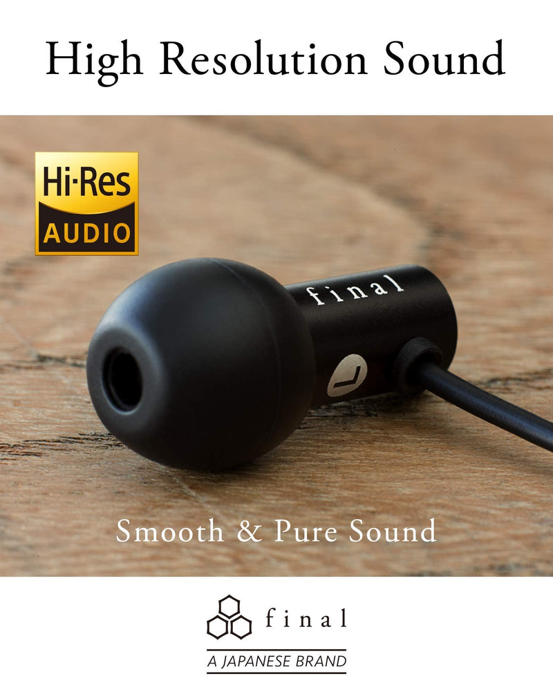 Final Canal Type Earphone E2000 FI-E2DALã€Japan Domestic Genuine productsã€‘ Black