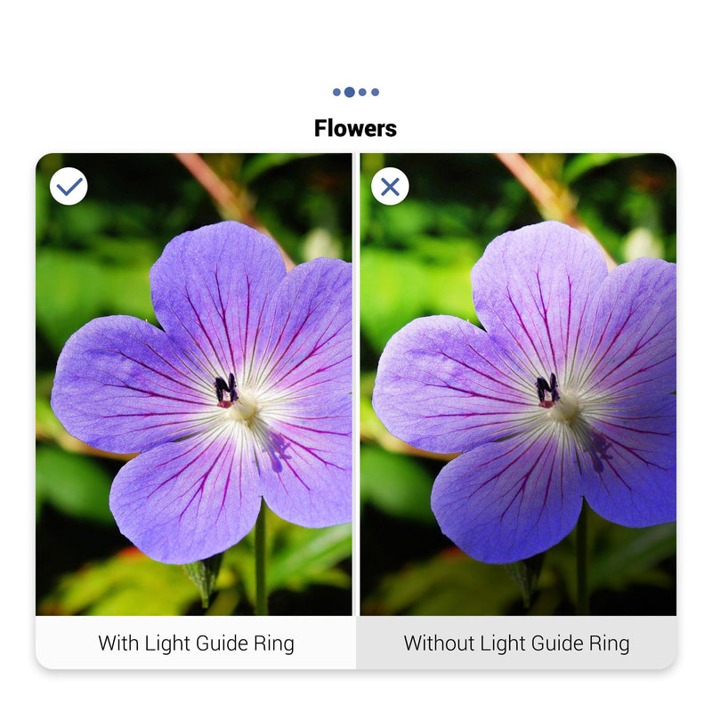 [AUSTRALIA] - JJC LED Light Guide Ring for Olympus Tough TG-7 TG7 TG-6 TG6 TG-5 TG5 TG-4 TG4 TG-3 TG3 TG-2 TG2 Digital Cameras, Macro Ring Light Flash Replaces Olympus LG-1 for Close Up Macro Photography Replaces LG-1 Light Guide 