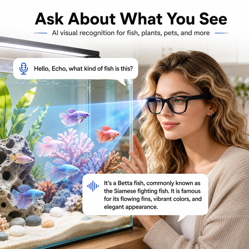 AI Smart Glasses with Camera, 13MP HD Capture, 4K EIS Video, Photochromic | Object Recognition, Real-Time Translation, AI Assistant, Dual Open-Ear Speakers, Bluetooth, IP66 Water Resistance, Sunglasses Black Glasses Pouch Included
