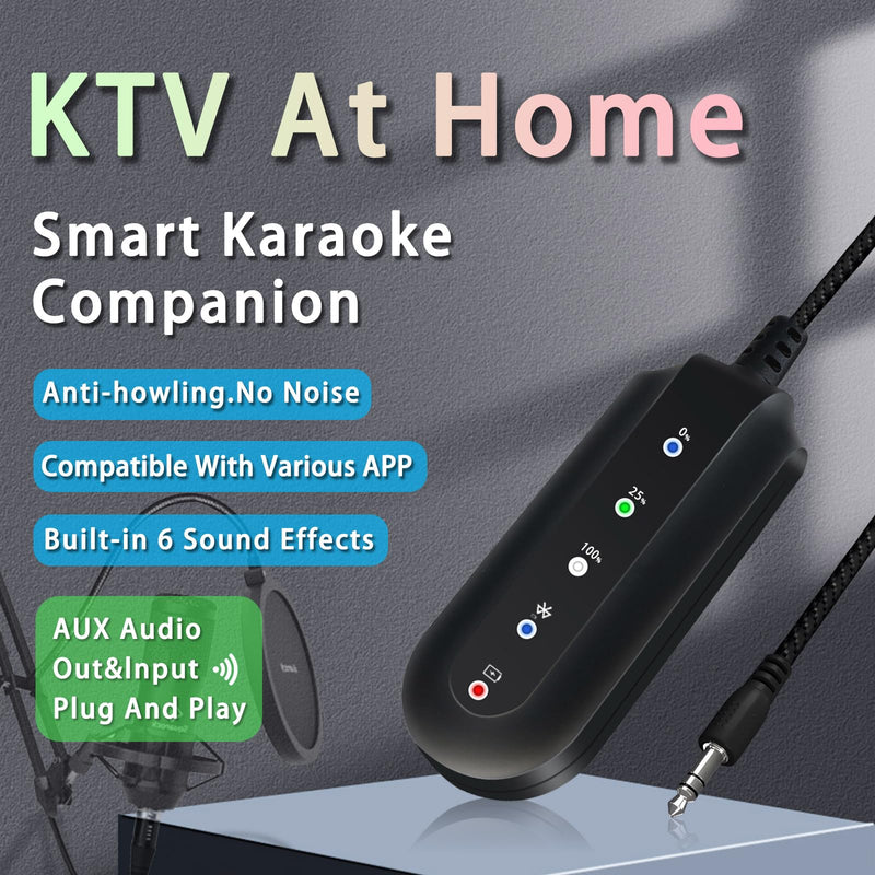 SETHDA Podcast Equipment, Karaoke Companion, Karaoke Mixer System, Recording Studio with Voice Changer - 3.5mm Audio Interface for Laptop Computer Vlog Living Broadcast Live Streaming YouTube TikTok