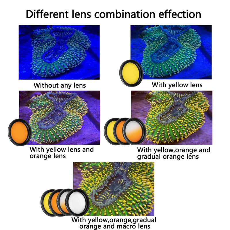 [AUSTRALIA] - Reef Coral Lens Phone Kits for Phone 7 Lenses Kit 1 Dust Shield Case 2 Lens Clips 