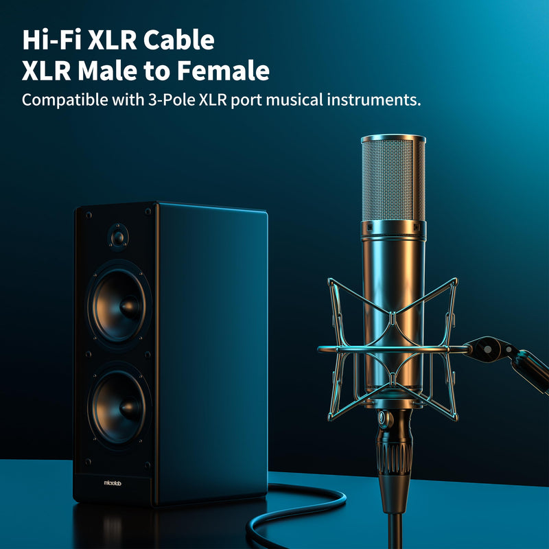 SMALL-EYE XLR Cables for Microphone 1FT 2 Pack, Hi-Fi Gold Plated 3-Pin Balanced Short Cable XLR Male to Female Patch Cord 2-Pack of 1 Feet