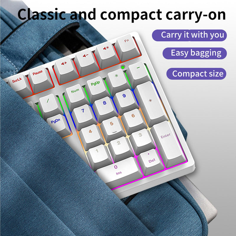 XUMIUZIY Number Pad, Mechanical Numeric Keypad with RGB Backlit, Hotswap Blue Switches, PBT Keycaps, 34 Keys USB Wired Numpad for Laptop, Computer, PC (White) White
