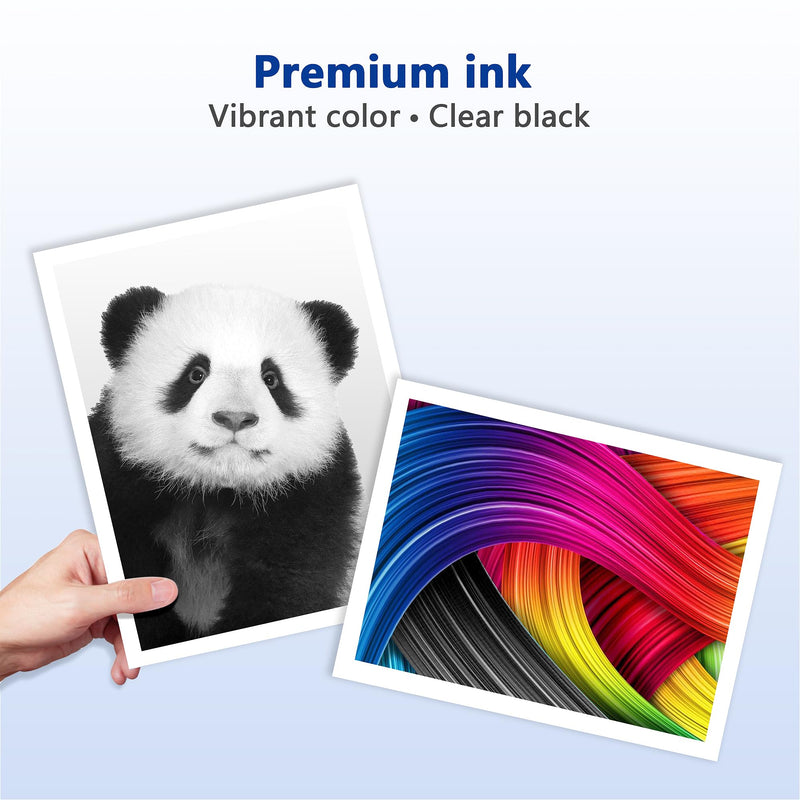 62XL Ink Cartridges Combo Pack Replacement for HP Ink 62 HP 62 Ink 62XL Ink Works with HP Envy 5540 5549 5640 5660 7640 7645 OfficeJet Mobile 250 200 OfficeJet 5740 5741 8040 Printer (2 Pack)