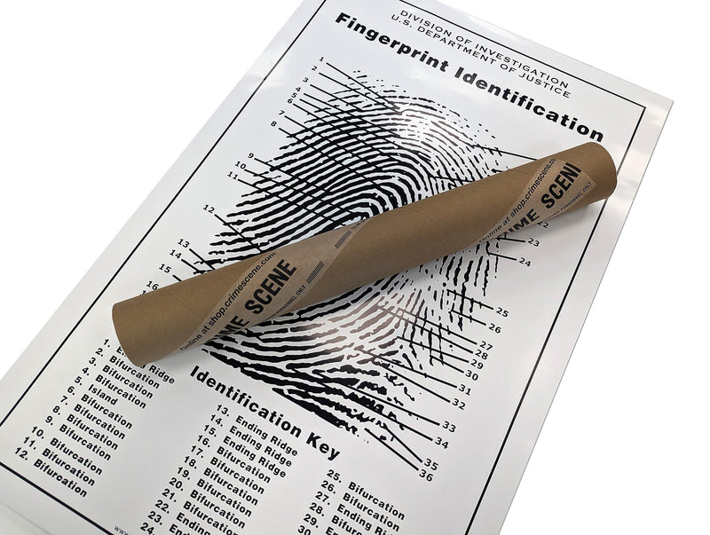 Crime Scene Fingerprint Chart, Poster Size 24" by 36"