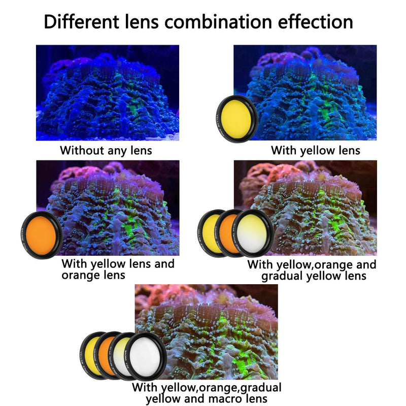 [AUSTRALIA] - Reef Coral Lens Phone Kits for Phone 7 Lenses Kit 1 Dust Shield Case 2 Lens Clips 