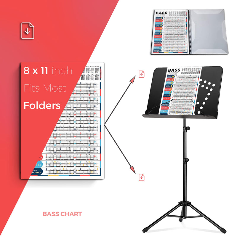 Bass Scales Chart for Beginner Adult or Kid, 8'' x 11'' Pocket Bass Scales Cheatsheets of Acoustic Electric Bass Guitar, Great Bass Scales Reference Poster to Improve Bass Technique & Music Theory Basses