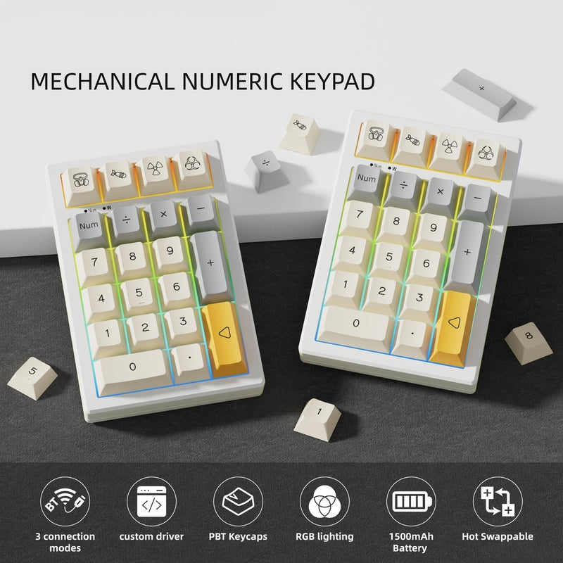 BOYI TD21 Hot Swap Numpad,21 Keys Mini Numpad Portable Keypad Bluetooth5.0/2.4G/Wired Number Pad Keyboard PBT Keycaps RGB Backlit Type-C Mini Keyboard (Heavy Industry XDA Keycaps) Heavy Industry XDA Keycaps