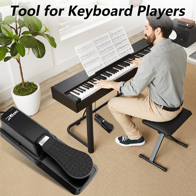 [AUSTRALIA] - Sustain Pedal Universal for Keyboard, Piano Pedal with Polarity Switch for Digital Piano 
