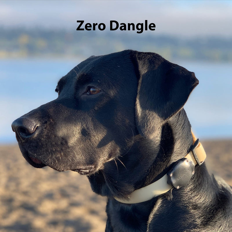 TagVault™ AirTag Dog Collar Mount (2 Pack) - IP69 Waterproof, Doesn't Dangle, Fits All Width Collars | Elevation Lab 2 Pack