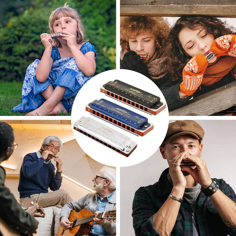 East top Harmonica Key of C 10 Holes 20 Tones 008K Blues Diatonic Mouth Organ with Silver Cover, Deluxe Harmonica C For Adults, Professionals and Students as gift silver-C