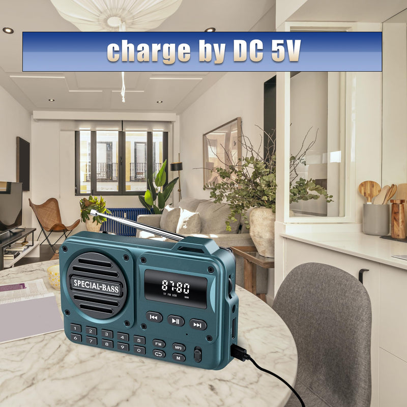 Pocket Radio FM USB-C Charging 2000mAh Rechargeable Excellent Reception Clear Speaker and Headphone Jack,LCD Screen,FM Radio for Walk/Jogging/Gym, Bluetooth/TF.(NO AM) (Turquoise) Turquoise
