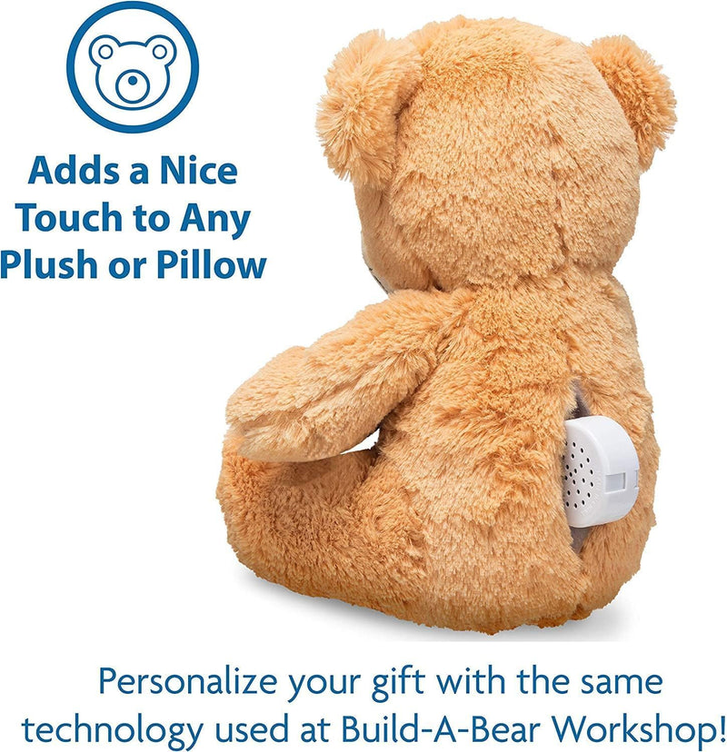 60 Second Multi-Message Voice Recorder, Record Custom Messages for Plush Toy, Stuffed Bear Toy, Baby Doll Toy, and Pillow - 2 Pack 60 Sec - Pack of 2