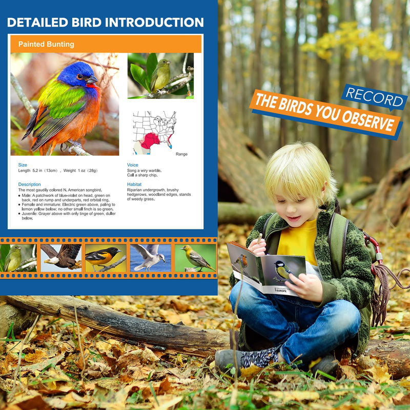 3-8 Year Old Boy Girl Toys: LET'S GO! Shockproof Binoculars for Kids Bird Watching 3 4 5 6 7 Year Old Boys Girls Outdoor Travel Toy for Kid Ages 4-7 Toddler Toy Binoculars Orange