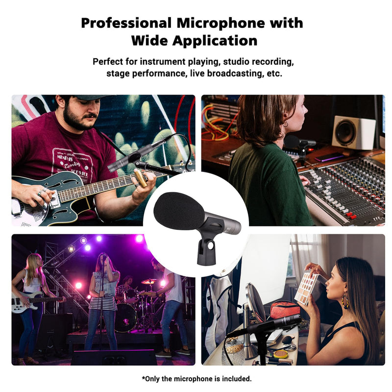 TAKSTAR CM-60 Instrument Microphone with Windscreen, Professional Cardioid Condenser Mic, XLR Gold-Plated Diaphragm Sound Head Microphone for Studio, Instrument, Interview, Radio Stations, Broadcast