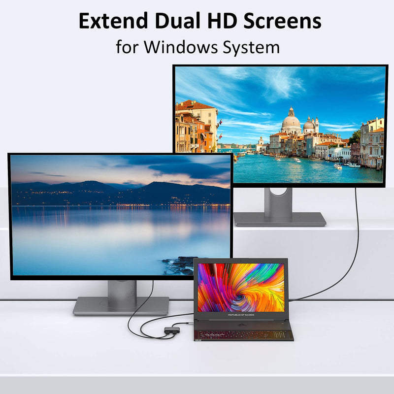 Selore&S-Global USB C to Dual HDMI Adapter + Dual Displayport Adapter