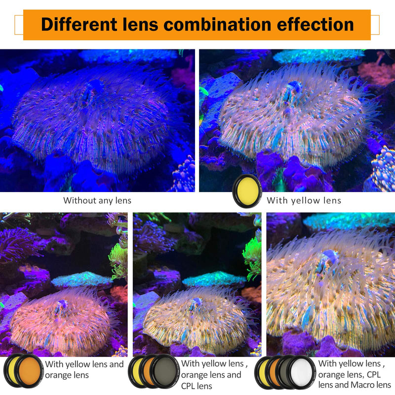 [AUSTRALIA] - Reef Coral Lens Phone Kits 5 Lenses Kit 1 Dust Shield Case 2 Lens Clips 