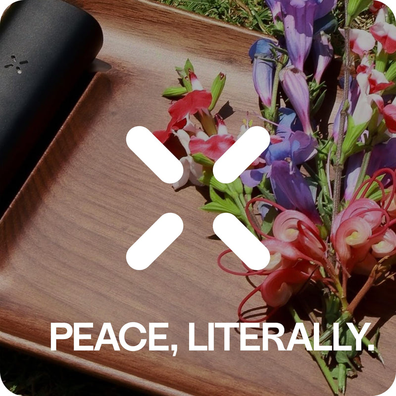 Smell Proof Case – Pocket-Sized, Water Resistant Storage Case with Compartments and Pockets for Your Device and Accessories Smell Proof Case