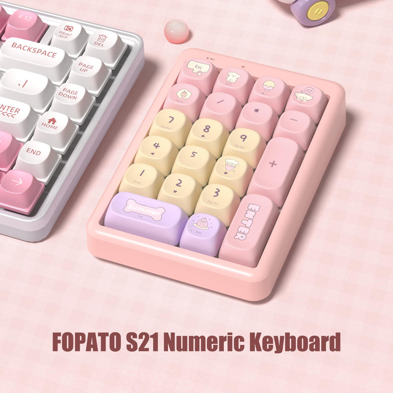 Wireless Number Pad Keyboard Mechanical Numpad Numeric Keypad for Laptop | Bluetooth Creamy 10 Key RGB Portable Cute Financial Accounting Rechargeable for Windows, PC, BT5.0/2.4G, Pink S21