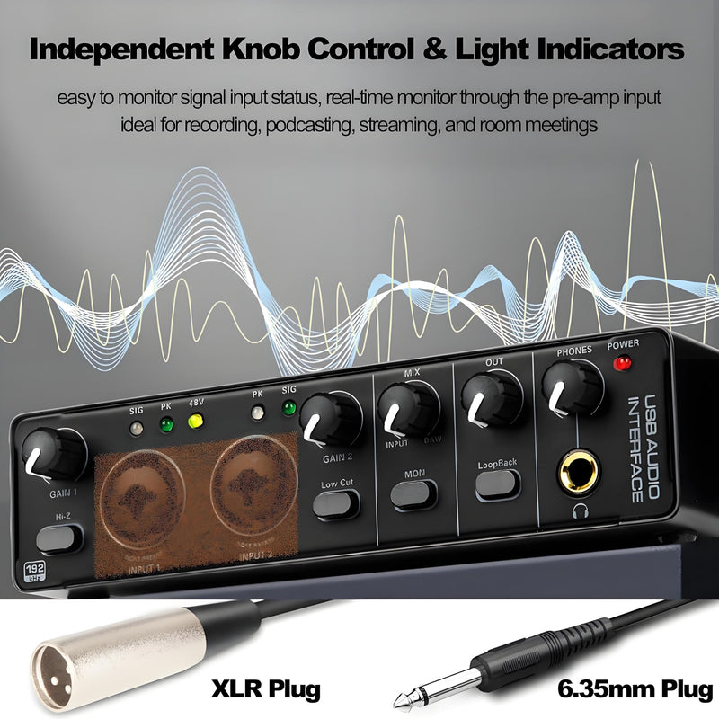 24Bit 192kHz Audio Interface, 2 In 2 Out USB Audio Interface for Recording, Streaming, Podcasting with Pro Audio Mixer, Mic Preamplifier, XLR TSR TS Ports, 48V Phantom Power