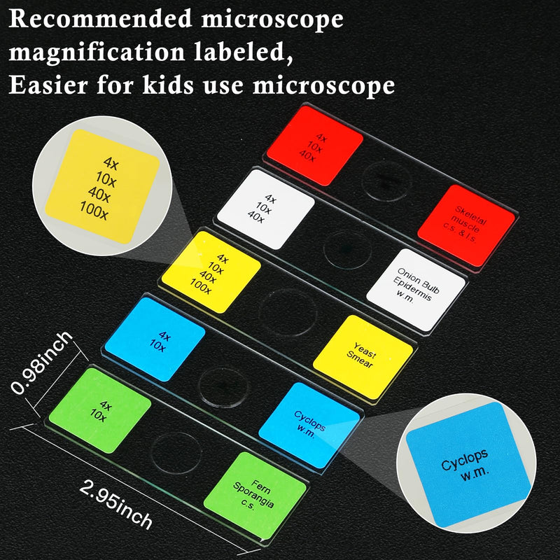 [AUSTRALIA] - Microscope Slides with Specimens for Kids, 60 Lab-Grade Prepared Microscope Slides, Animal/Plant/Microbe/Tissue Samples, STEM Biology Kit for Homeschool, Classroom Labs & Science Education Ages 8+ 