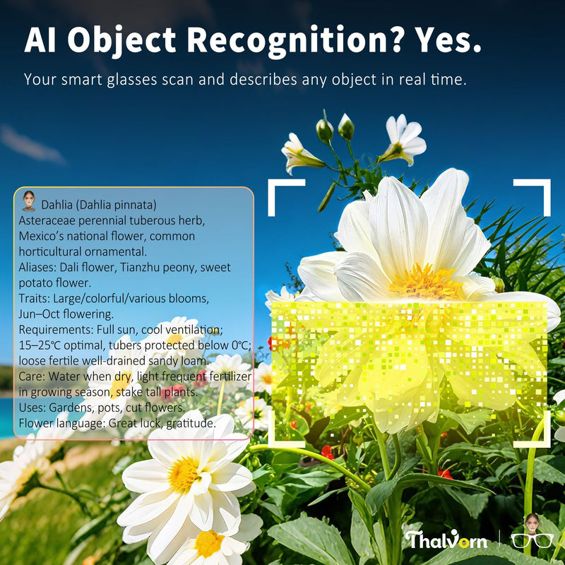 AI Smart Glasses, 2026 Cutting-Edge AI HD Camera Glasses | AI Voice Assistant, Object Recognition,100+ Languages Real-time Translation, Support Video Photo Music Calling, Wearable Tech
