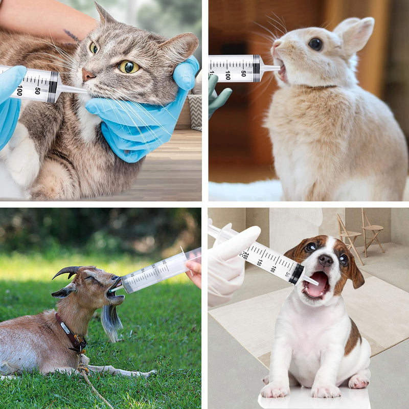 [AUSTRALIA] - Pack of 2 Syringes, Syringe 200 ml + 300 ml, Syringe with Hose, Large Syringe, Oil Syringe, Dosing Syringe Without Needle, Syringe Set for Laboratory, Industry, Animal Feeding 200ml+300ml 