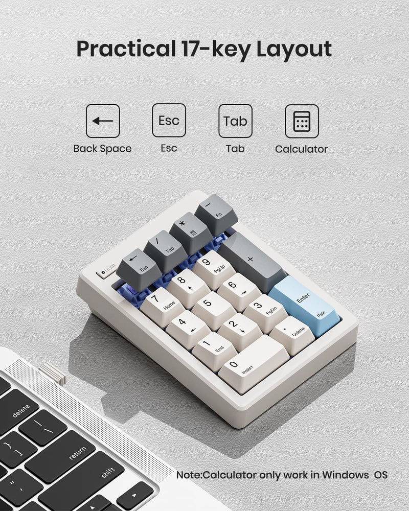 Kisnt FD17 Wireless Mechanical Numpad for Excel Financial Data Entry | Bluetooth 5.0 & 2.4G Dual Mode Connection, 17 keys Hot Swappable with PBT Keycaps, Ideal for Laptops PC Compact Keyboards Beige