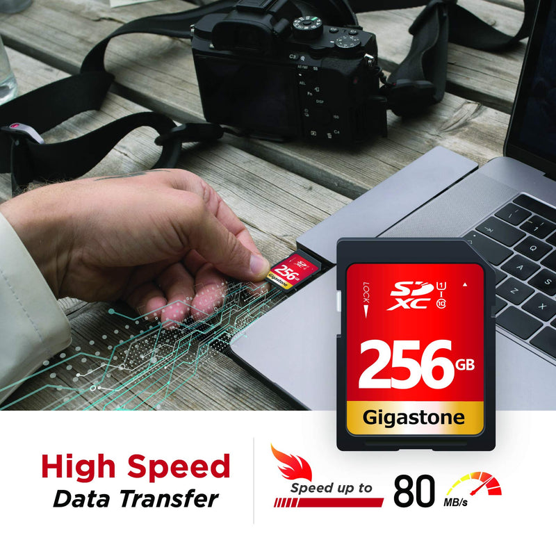 Gigastone 256GB SD Card UHS-I U1 Class 10 SDXC Memory Card High Speed Full HD Video Canon Nikon Sony Pentax Kodak Olympus Panasonic Digital Camera, with 1 Mini case SD 256GB U1 1-Pack