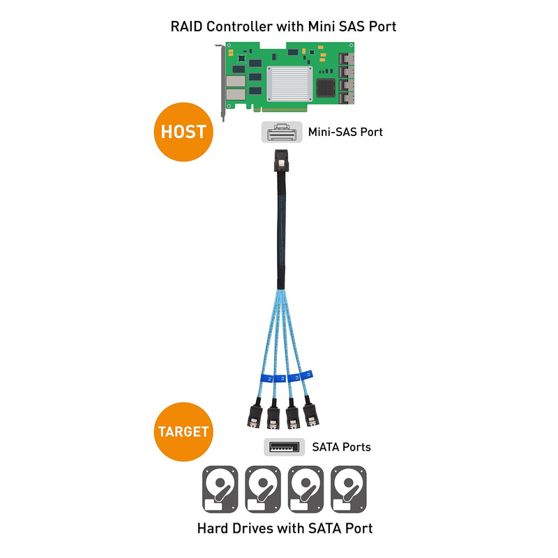 Cable Matters Internal Mini SAS to SATA Cable (SFF-8087 to SATA Forward Breakout) 1.6 Feet