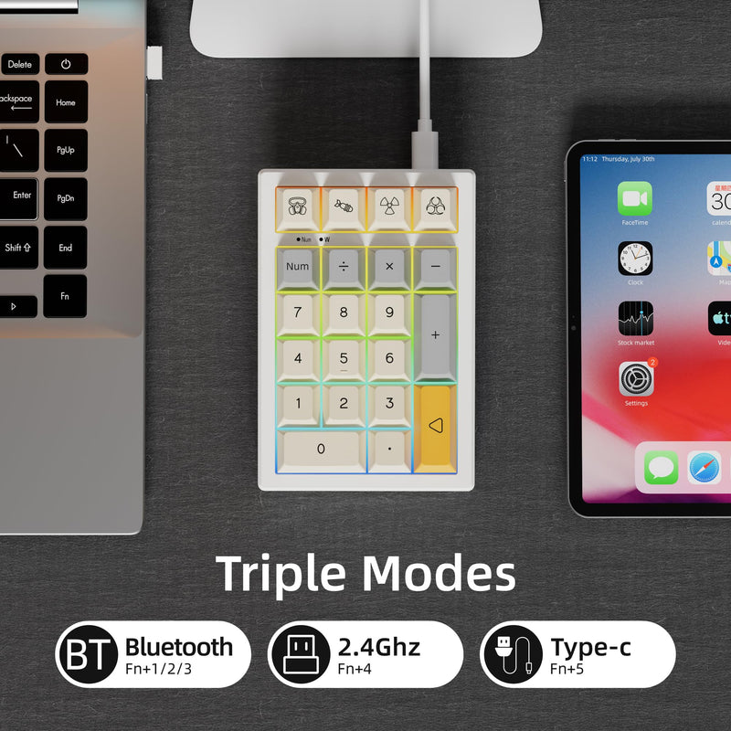 BOYI TD21 Hot Swap Numpad,21 Keys Mini Numpad Portable Keypad Bluetooth5.0/2.4G/Wired Number Pad Keyboard PBT Keycaps RGB Backlit Type-C Mini Keyboard (Heavy Industry XDA Keycaps) Heavy Industry XDA Keycaps